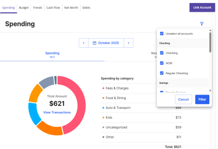 Filter in spending tool